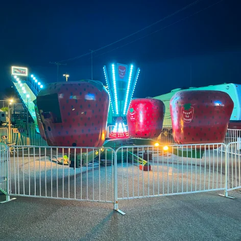 Family carnival ride